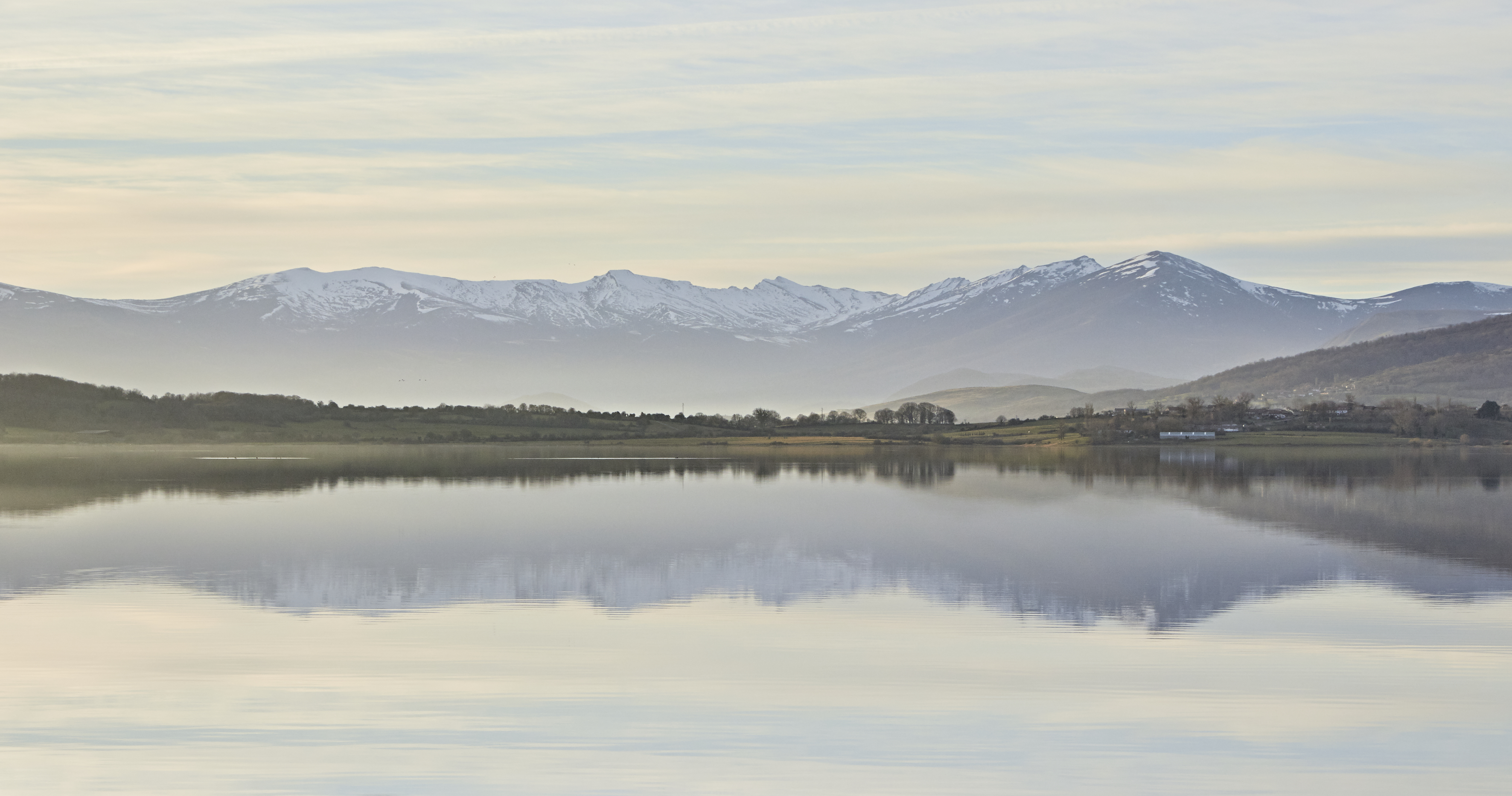 Reflejos