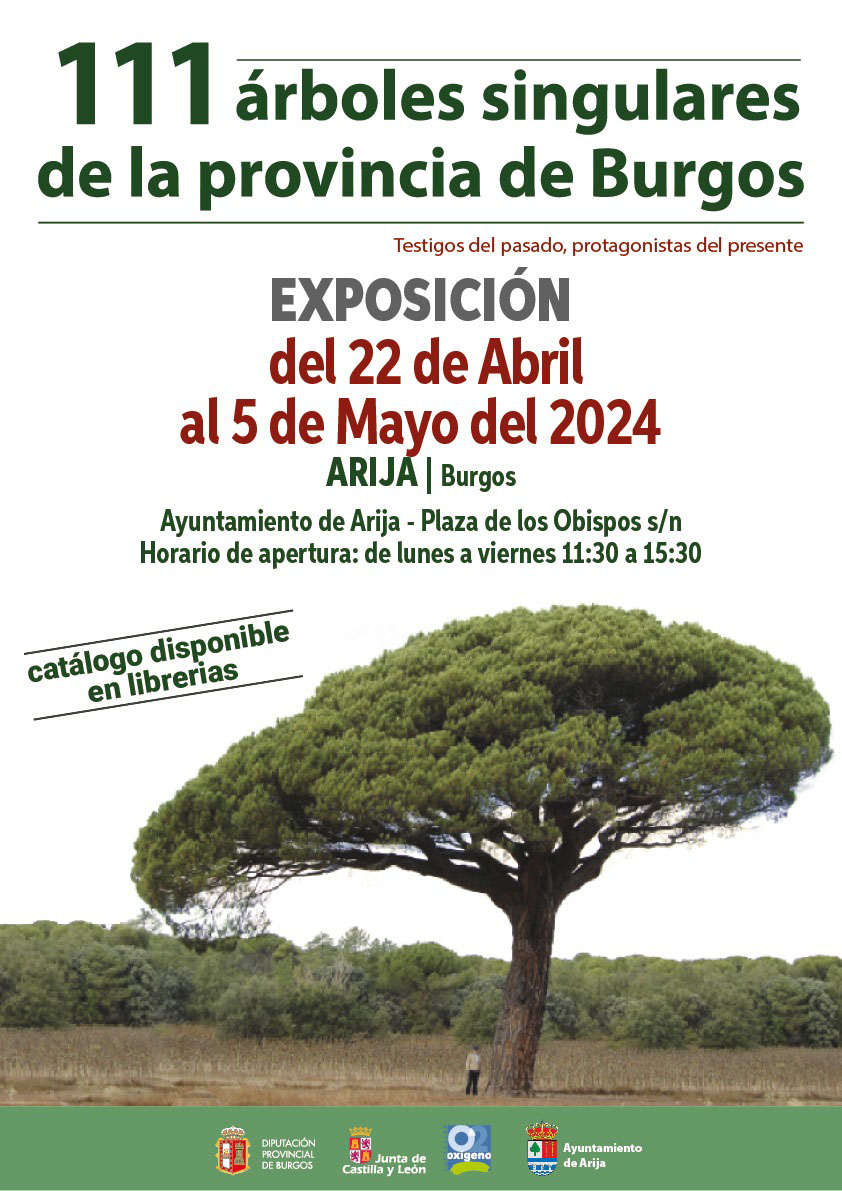 111 arboles singulares